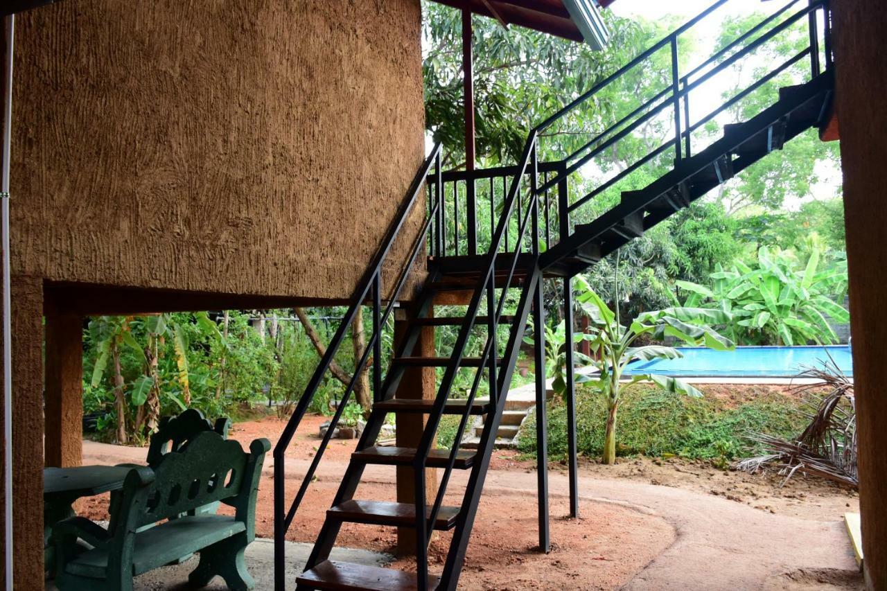 Sun&Green Eco Lodge - Dambulla Exterior foto